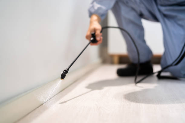 Rodent Entry Point Assessment in Mendota Heights