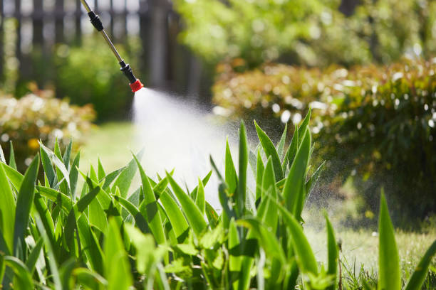 Tamper-Resistant Bait Stations for Rodents in Mendota Heights