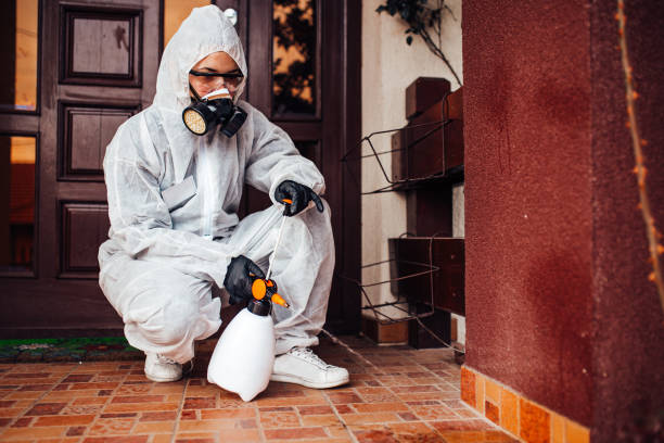 Attic and Crawl Space Rodent Treatment in Mendota Heights
