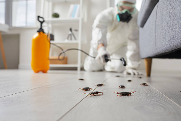 Commercial Rodent Management in Mendota Heights